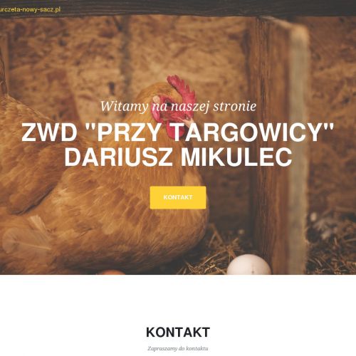 Nowy Sącz - kaczki małopolskie