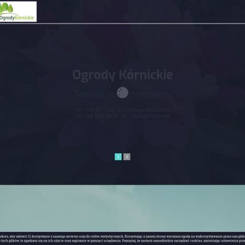 Poznań - krzewy iglaste szkółka