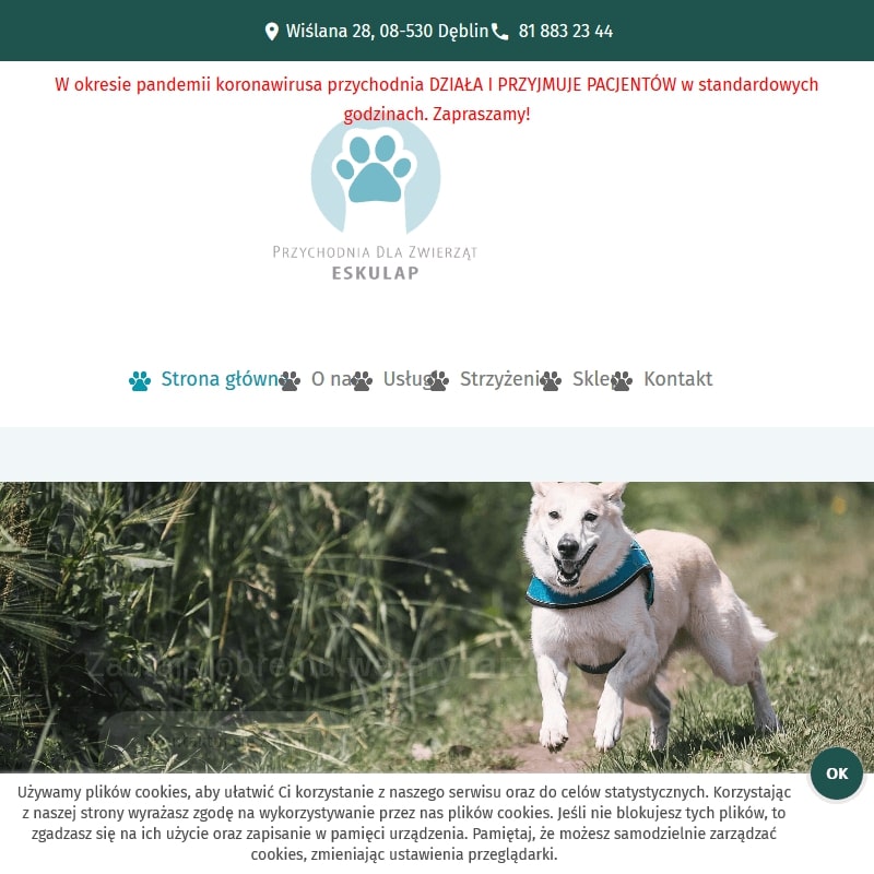 Stomatologia weterynarz - Dęblin