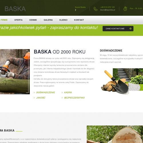 Katowice - wycinanie drzew