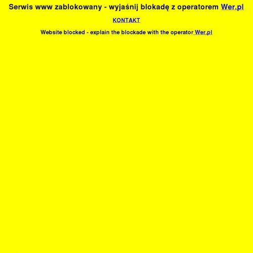 Figurki żołnierzy z ii wojny światowej w Poznaniu