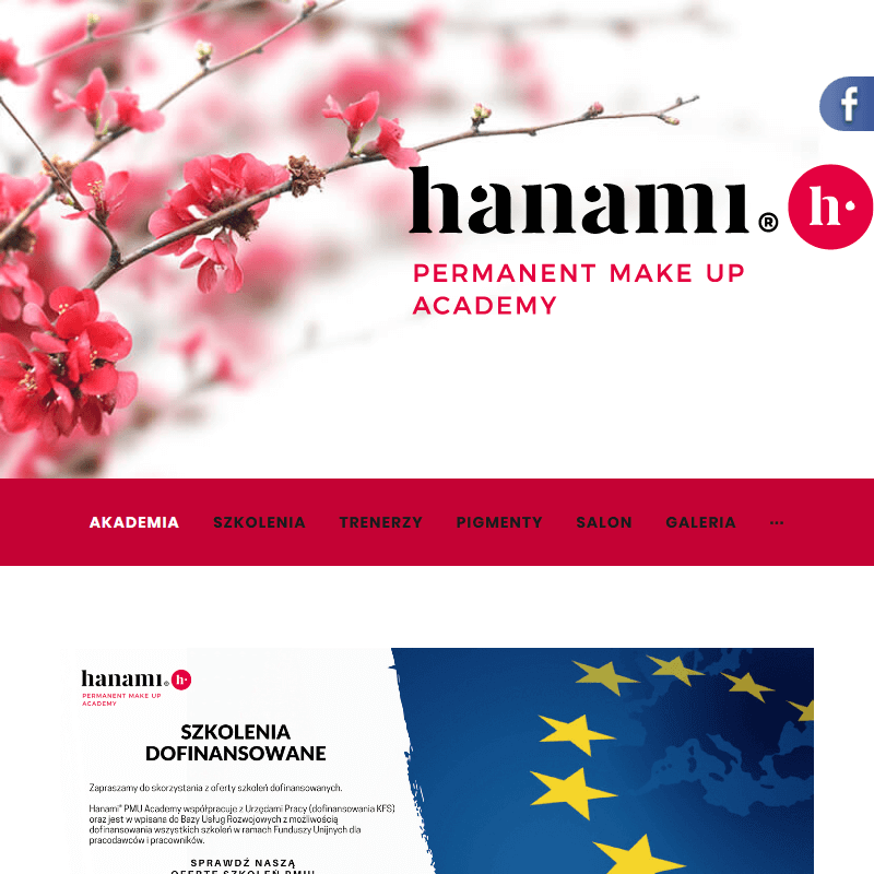 Szkolenia pigmentami hanami